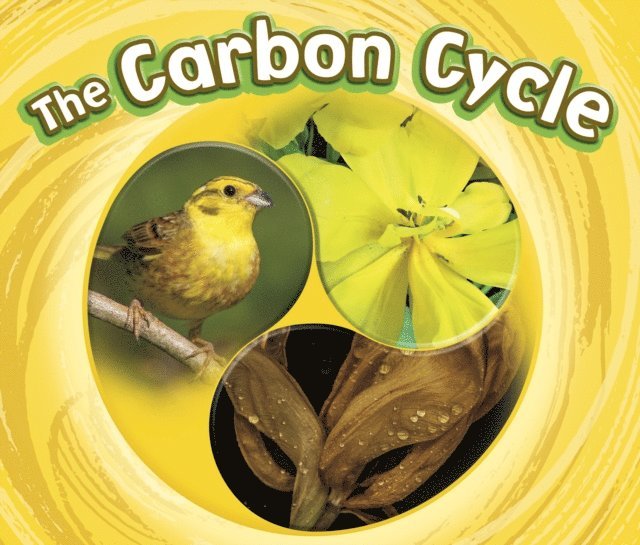 Catherine Ipcizade - Carbon Cycle, E-bok