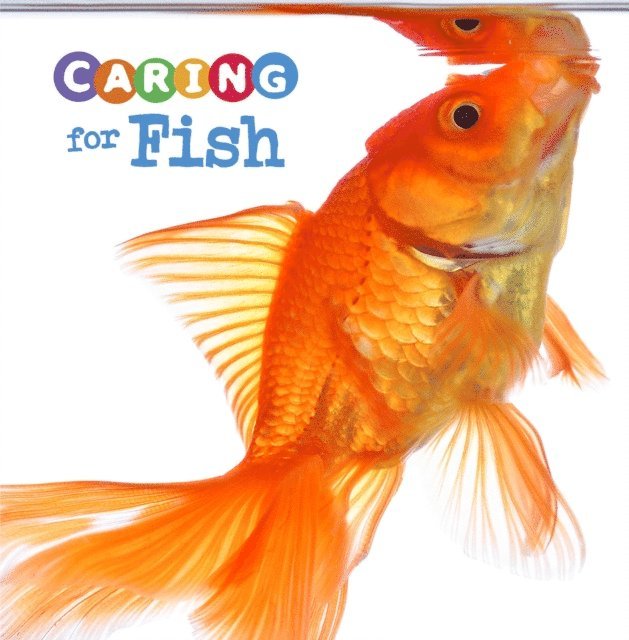 Caring for Fish