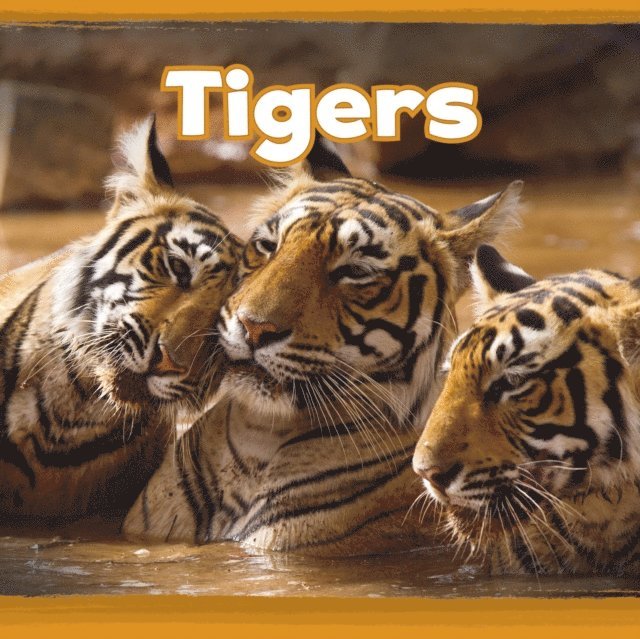 Kathryn Clay - Tigers, E-bok