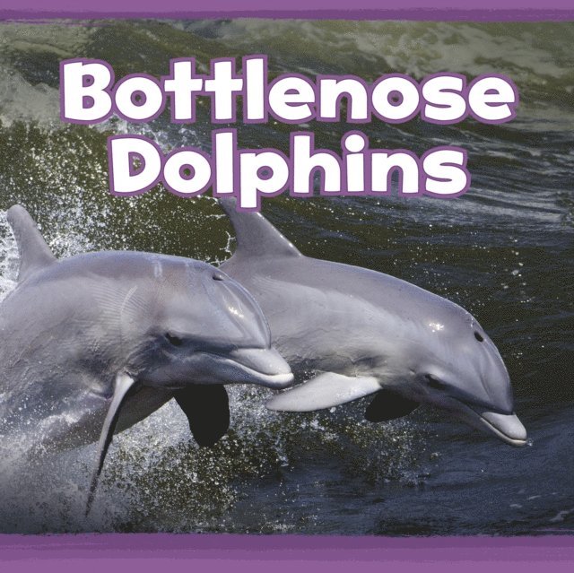 Kathryn Clay - Bottlenose Dolphins, E-bok