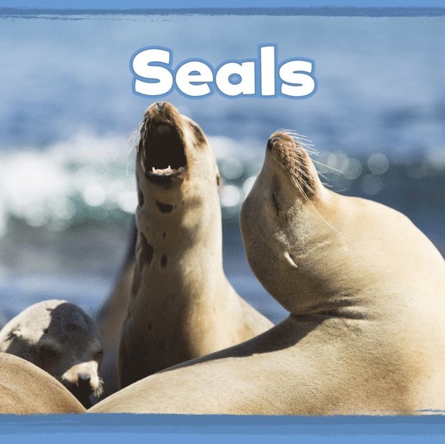 Kathryn Clay - Seals, E-bok