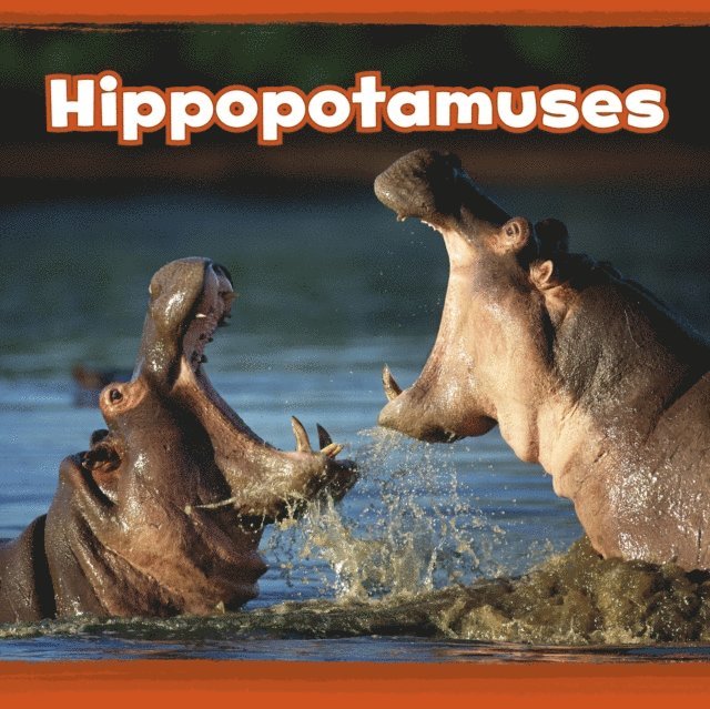 Kathryn Clay - Hippopotamuses, E-bok