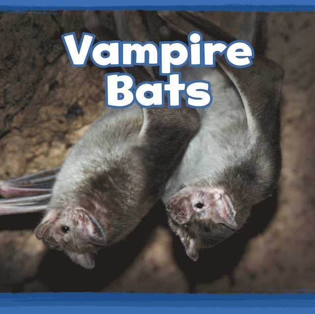 Kathryn Clay - Vampire Bats, E-bok
