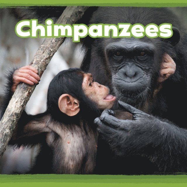 Kathryn Clay - Chimpanzees, E-bok