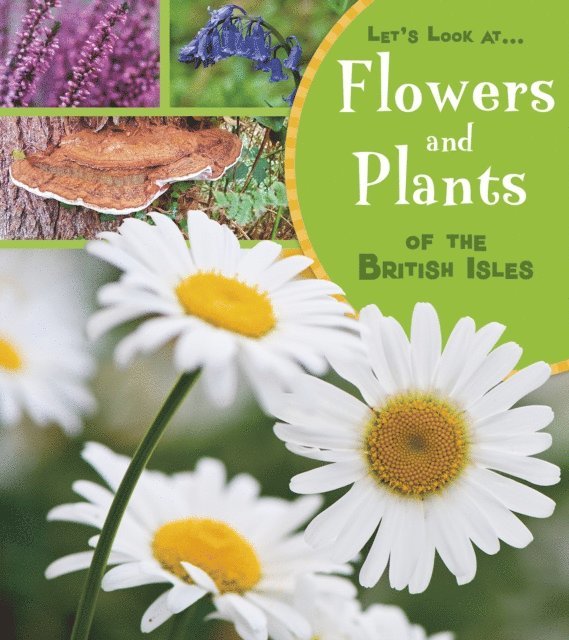 Lucy Beevor - Flowers and Plants of the British Isles, E-bok