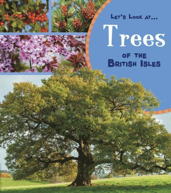 Lucy Beevor - Trees of the British Isles, E-bok
