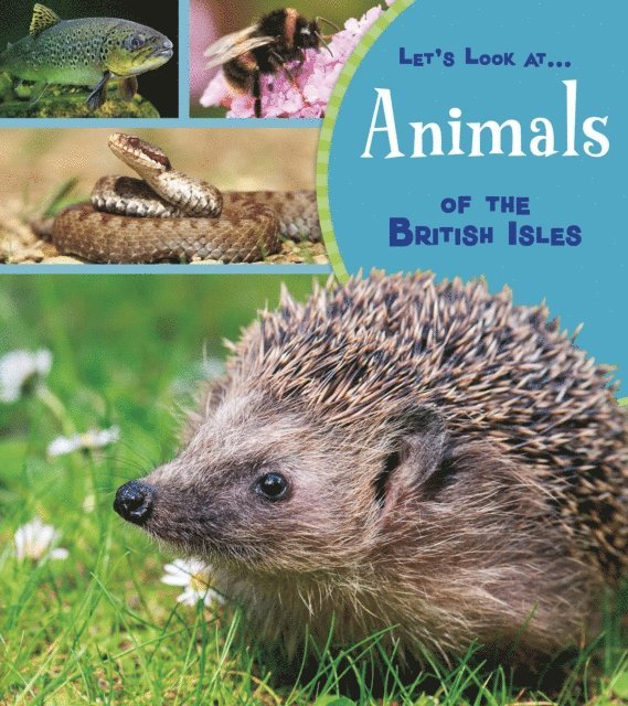 Lucy Beevor - Animals of the British Isles, E-bok