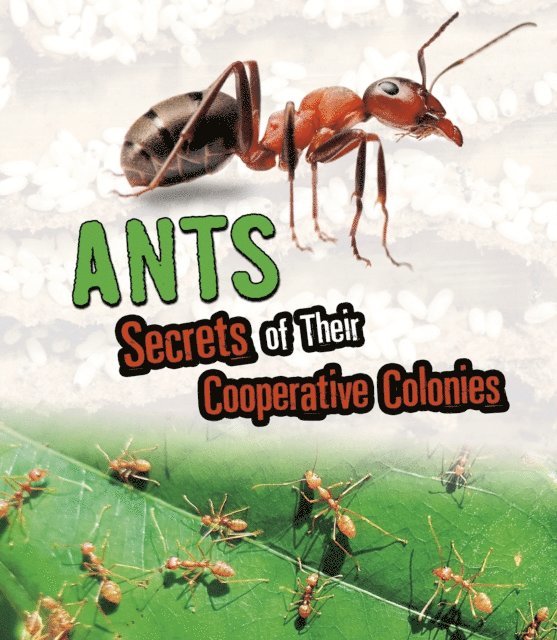 Karen Latchana Kenney - Ants, E-bok