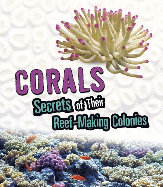 Rebecca Stefoff - Corals, E-bok