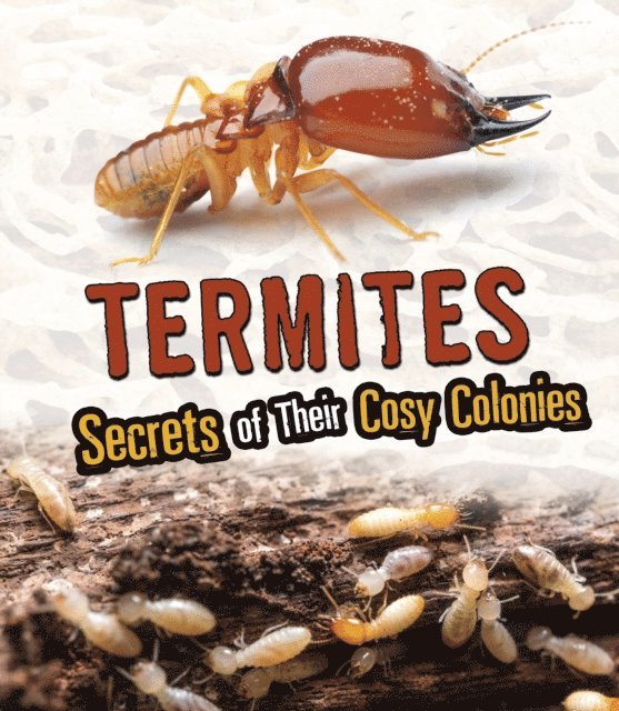 Rebecca Stefoff - Termites, E-bok