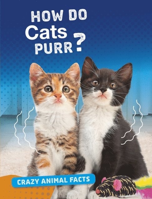 Nancy Furstinger - How Do Cats Purr?, E-bok