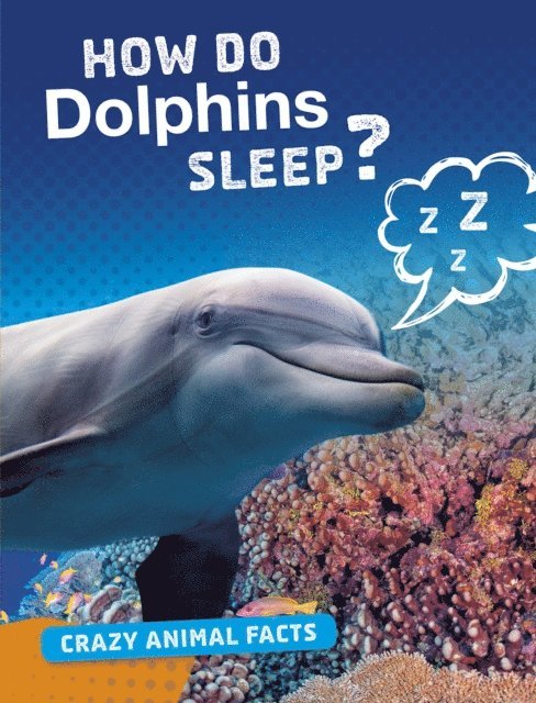 Nancy Furstinger - How Do Dolphins Sleep?, E-bok