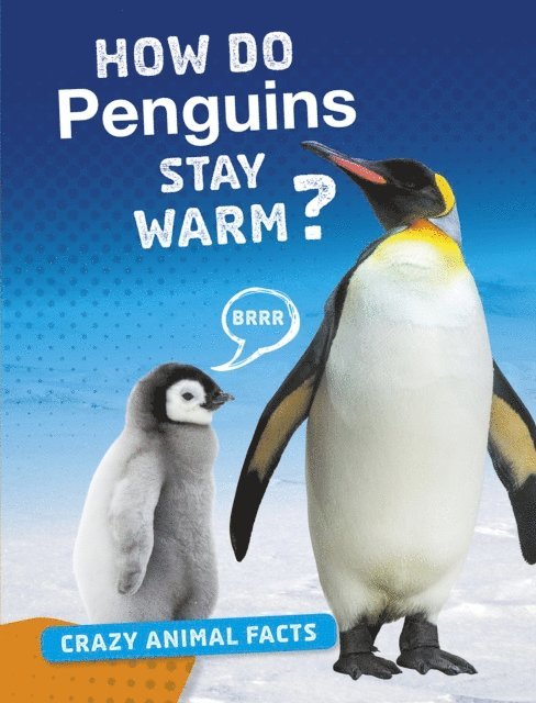 Nancy Furstinger - How Do Penguins Stay Warm?, E-bok
