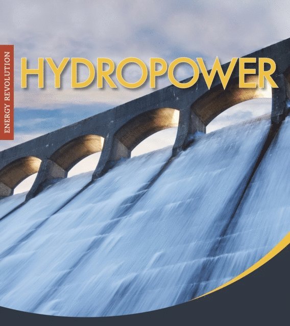 Mary Boone - Hydropower, E-bok