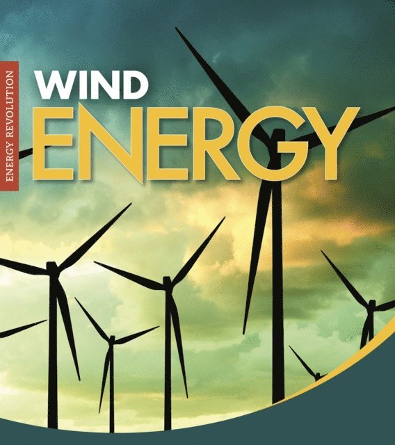 Christine Elizabeth Eboch - Wind Energy, E-bok