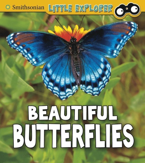 Melissa Higgins - Beautiful Butterflies, E-bok