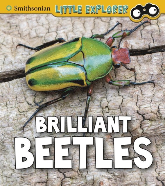 Melissa Higgins - Brilliant Beetles, E-bok