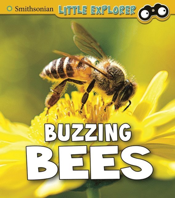 Melissa Higgins - Buzzing Bees, E-bok