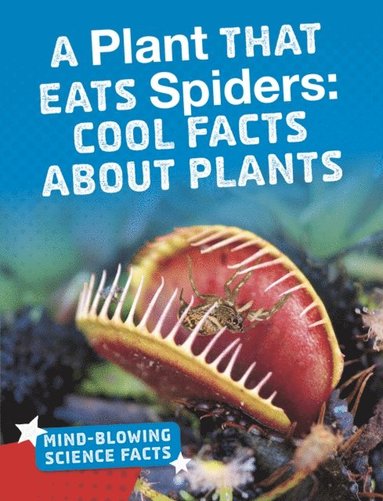 Kaitlyn Duling - Plant That Eats Spiders, E-bok