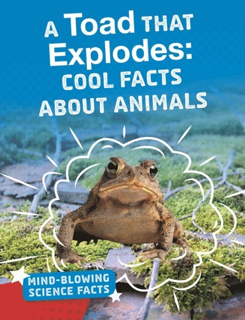 Melissa Abramovitz - Toad That Explodes, E-bok