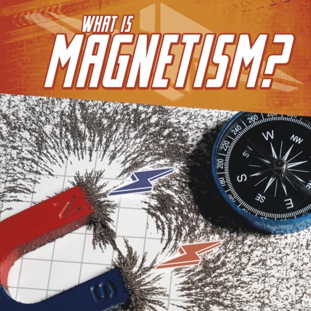 Mark Weakland - What Is Magnetism?, E-bok