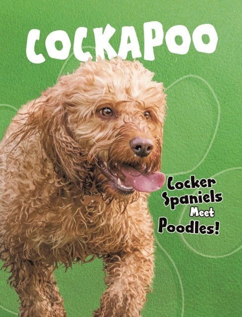 Paula M. Wilson - Cockapoo, E-bok