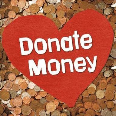 Emily Raij - Donate Money, Häftad