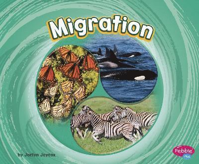 Jaclyn Jaycox - Migration, Häftad
