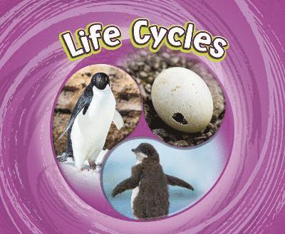 Jaclyn Jaycox - Life Cycles, Häftad