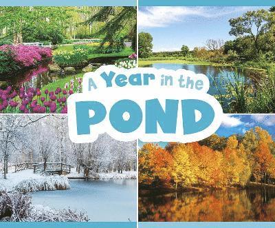 Christina Mia Gardeski - Year in the Pond, Häftad