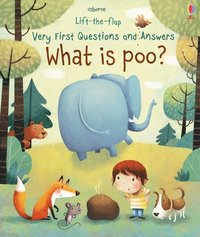 Very First Questions and Answers What is poo?