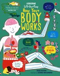 Lift-the-Flap How Your Body Works