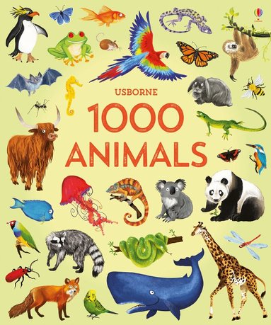 Jessica Greenwell, Jessica Greenwell - 1000 Animals, Inbunden