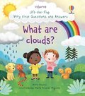 Very First Questions and Answers What are clouds?