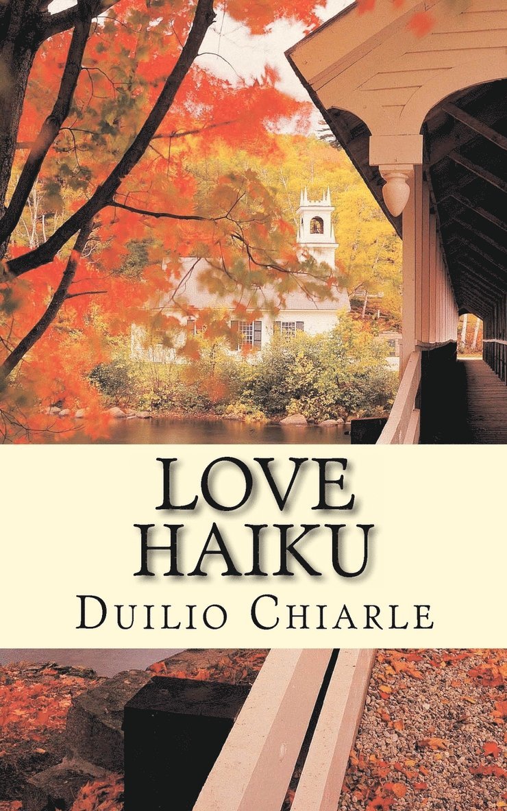 Duilio Chiarle - Love Haiku, Häftad