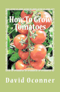How To Grow Tomatoes: Your Garden Secrets