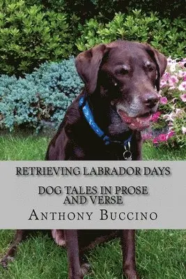 Anthony Buccino - Retrieving Labrador Days: Dog tales in prose and verse, Häftad. Tillgänglighet: Lägg i varukorg