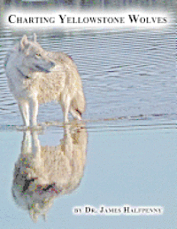 James Halfpenny - Charting Yellowstone Wolves, Häftad. Tillgänglighet: Lägg i varukorg