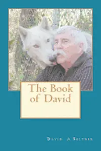 David A. Britner - The Book of David, Häftad. Tillgänglighet: Lägg i varukorg