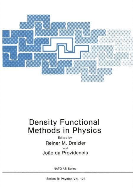 Joao da Providencia, Reiner M. Dreizler - Density Functional Methods In Physics, E-bok