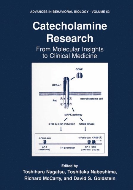 David S. Goldstein, Richard McCarty, Toshitaka Nabeshima, Toshiharu Nagatsu - Catecholamine Research, E-bok
