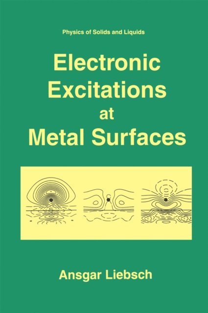 Ansgar Liebsch - Electronic Excitations at Metal Surfaces, E-bok