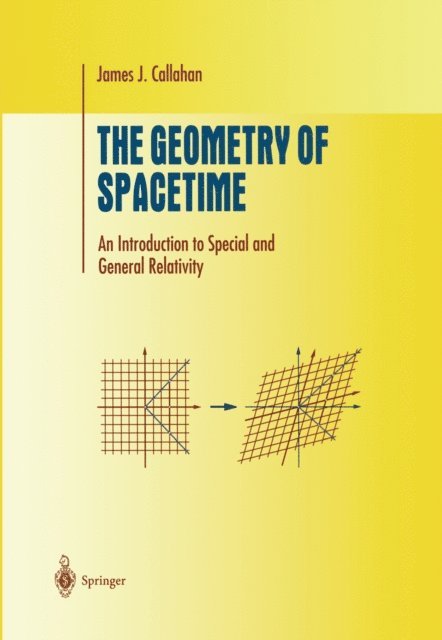 James J. Callahan - Geometry of Spacetime, E-bok