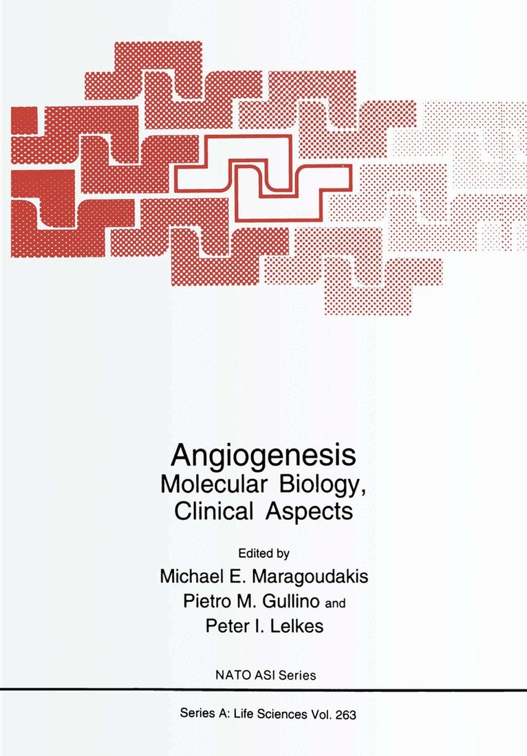 Michael E. Maragoudakis, Pietro M. Gullino, Peter I. Lelkes - Angiogenesis, Häftad