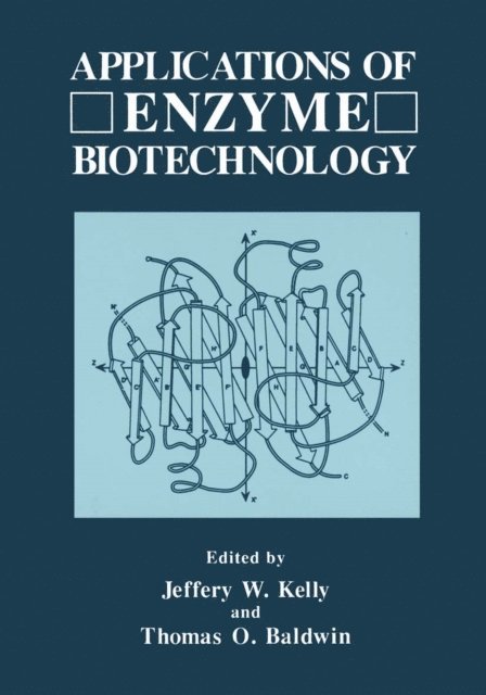 Thomas O. Baldwin, Jeffrey W. Kelly - Applications of Enzyme Biotechnology, E-bok