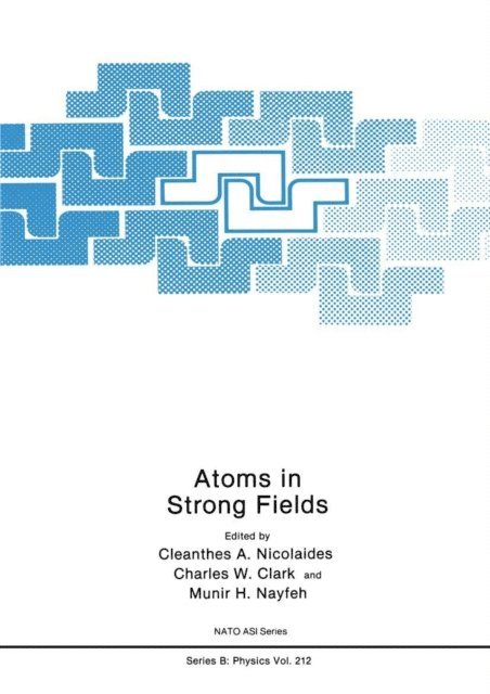 Munir H. Nayfeh, Charles W. Clark, C.A. Nicolaides - Atoms in Strong Fields, E-bok