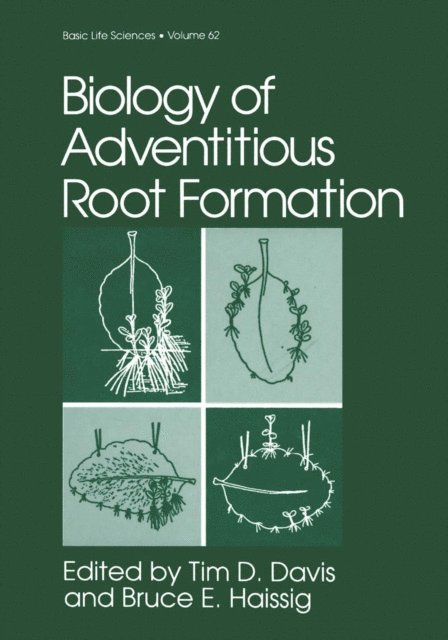 Bruce E. Haissig, Tim D. Davis - Biology of Adventitious Root Formation, E-bok