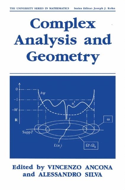 Alessandro Silva, Vincenzo Ancona - Complex Analysis and Geometry, E-bok