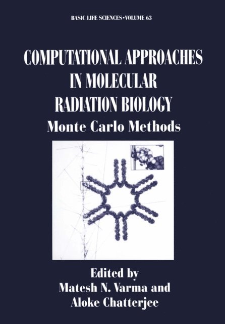 Aloke Chatterjee, Matesh N. Varma - Computational Approaches in Molecular Radiation Biology, E-bok