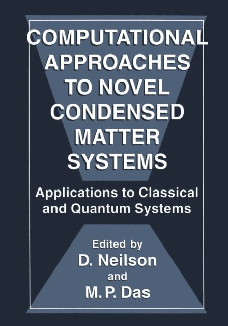 D. Neilson, M.P. Das - Computational Approaches to Novel Condensed Matter Systems, E-bok
